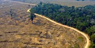 Un estudio internacional advierte que dos tercios del Amazonas podrían degradarse de forma irreversible por el cambio climático