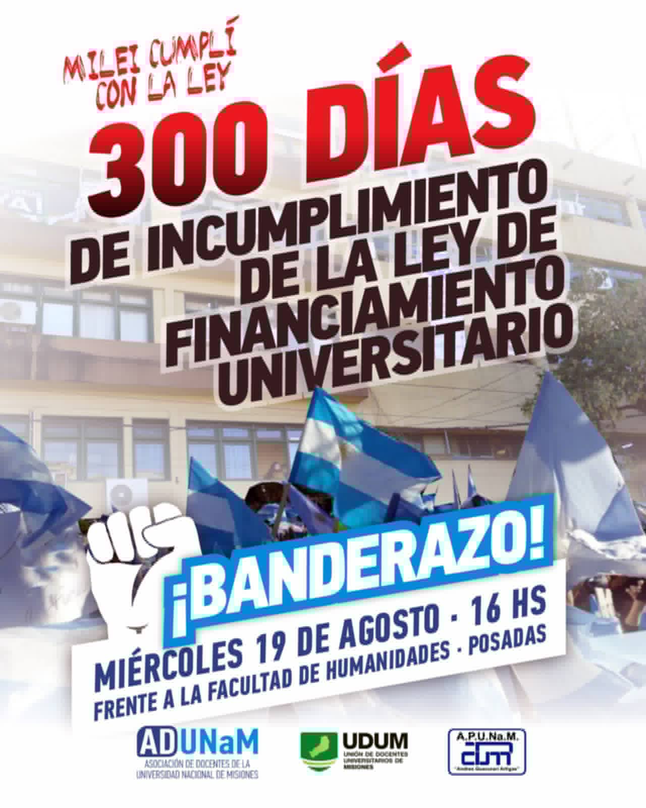 Ley de Financiamiento Universitario: convocan a Banderazo en Posadas